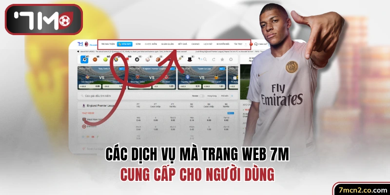 Các dịch vụ chuyên trang trang web 7M cung cấp