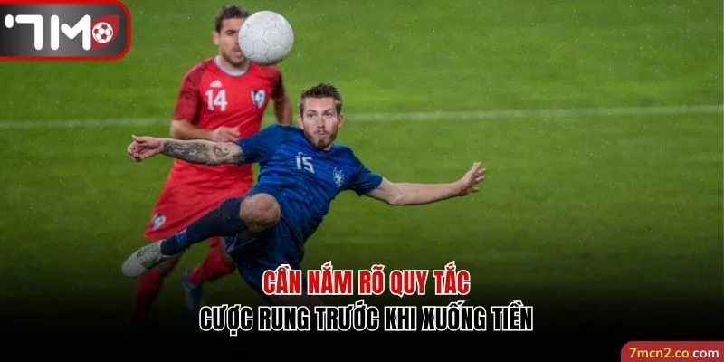 Cần nắm rõ quy tắc cược rung trước khi xuống tiền